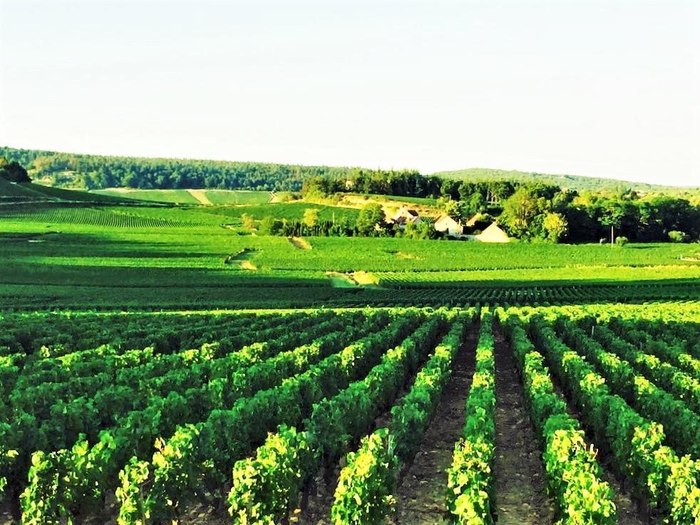 Bed and Breakfast Domaine Pont Juillet Fontaines  Екстер'єр фото